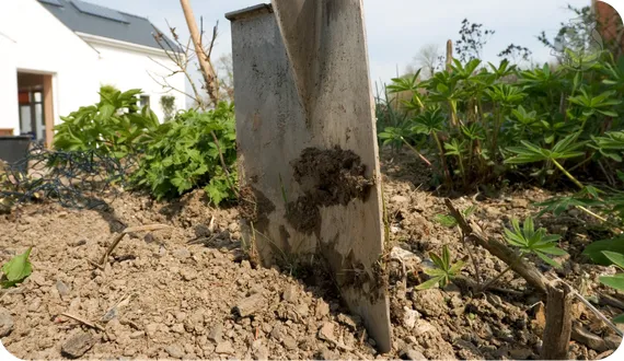 szpadel prosty do odcinania rabat i trawnika w ogrodzie